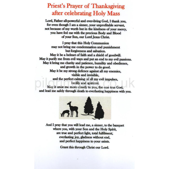 Priest's Prayer of Thanksgiving after Mass, A4 Size Laminated Altar Card