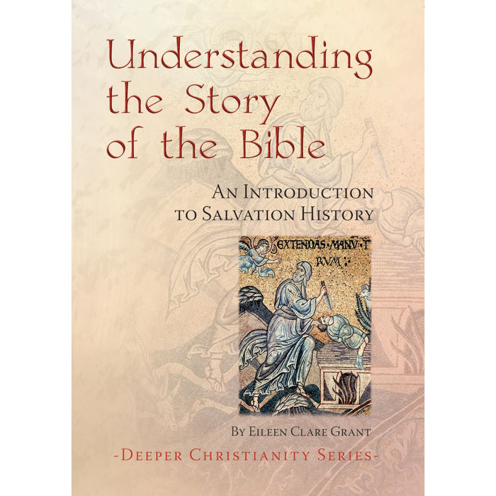 Understanding The Story Of The Bible, by Clare Eileen Grant