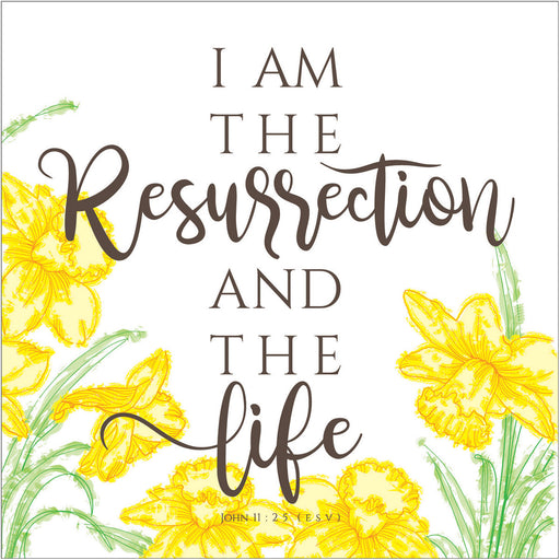 Christian Catholic Easter Greetings Cards Pack of 5, I Am The Resurrection And The Life