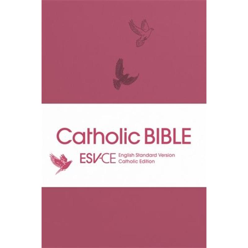 ESV-CE Catholic Bible, Anglicized British Text Pocket Edition - Pink ...