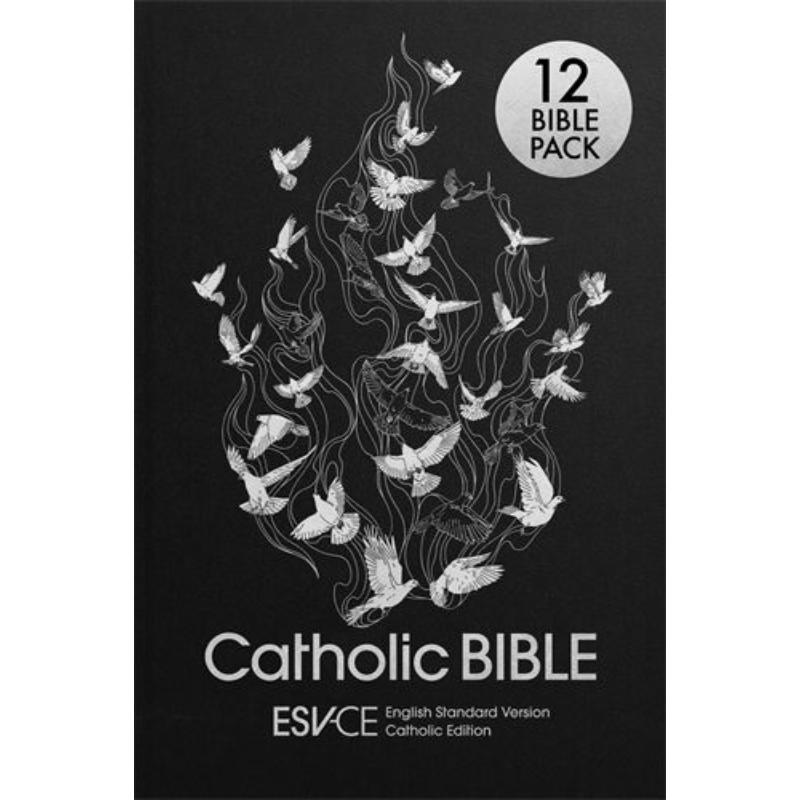 New ESV-CE Catholic Bibles Ideal For Schools and Churches