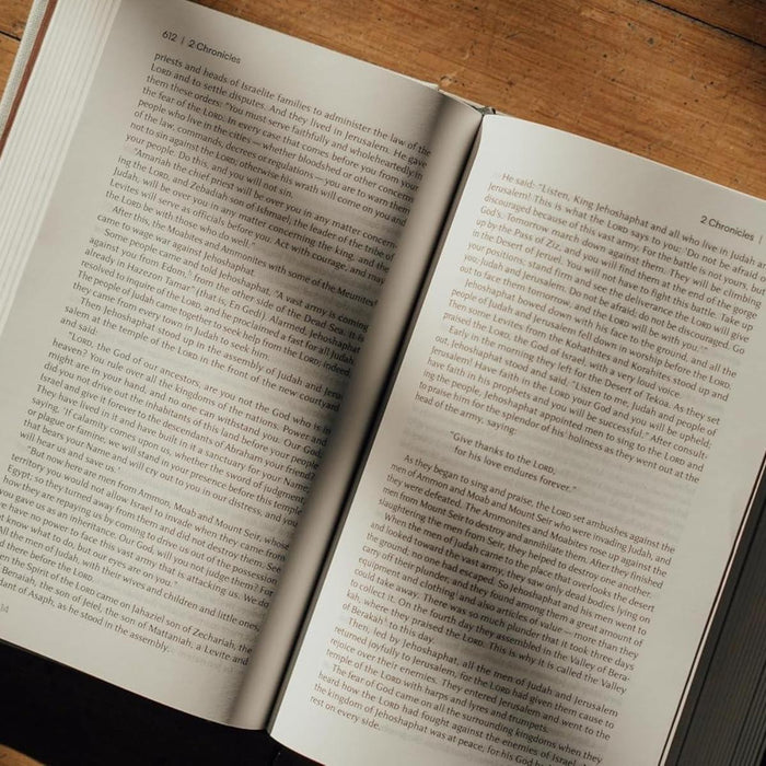 NIV Lectio Bible - A Simple, Ancient Way to Read the Library of Scripture - Cloth Over Board With Slipcase