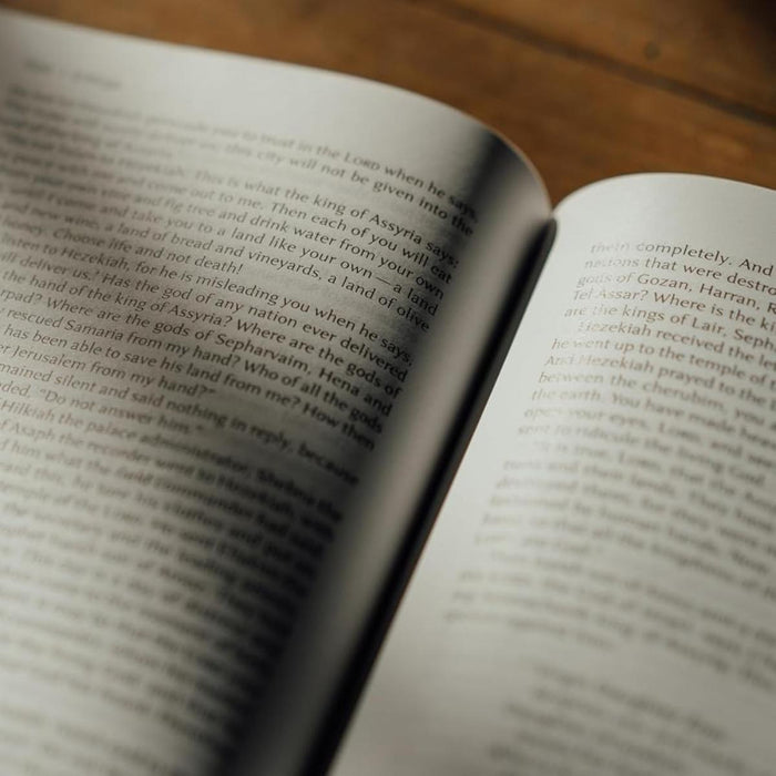 NIV Lectio Bible - A Simple, Ancient Way to Read the Library of Scripture - Cloth Over Board With Slipcase