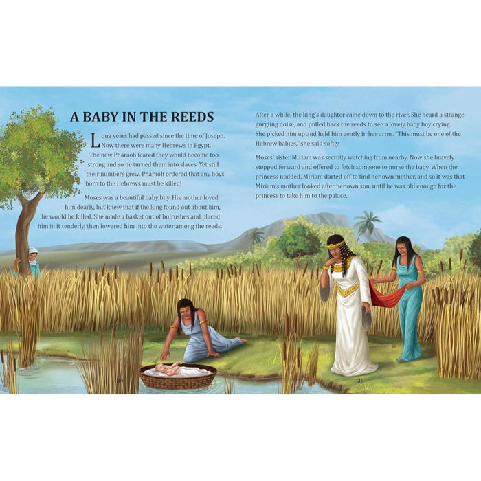 The Illustrated Children's Bible, Hardback Edition