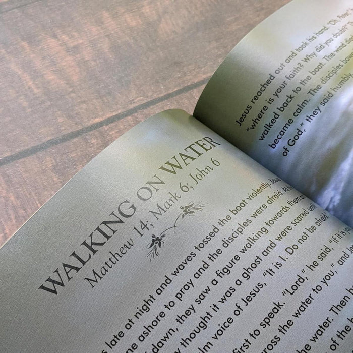 The Illustrated Children's Bible, Hardback Edition