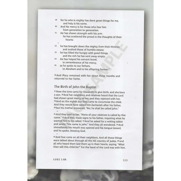 ESV Crystal New Testament - Dyslexia-Friendly, by Cambridge Bibles