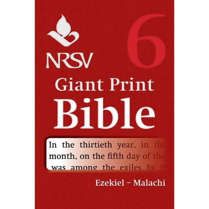 NRSV Giant Print Bible Volume 6. Ezekiel – Malachi, Paperback Edition, by Cambridge Bibles