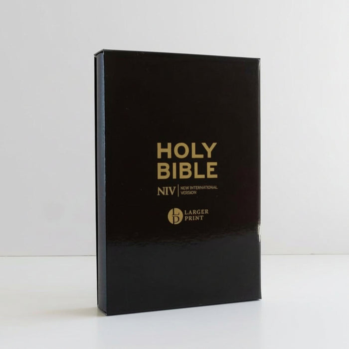A black Holy Bible standing upright on a white surface against a white background, with gold lettering that reads 'HOLY BIBLE', 'NIV', and 'LARGER PRINT'.