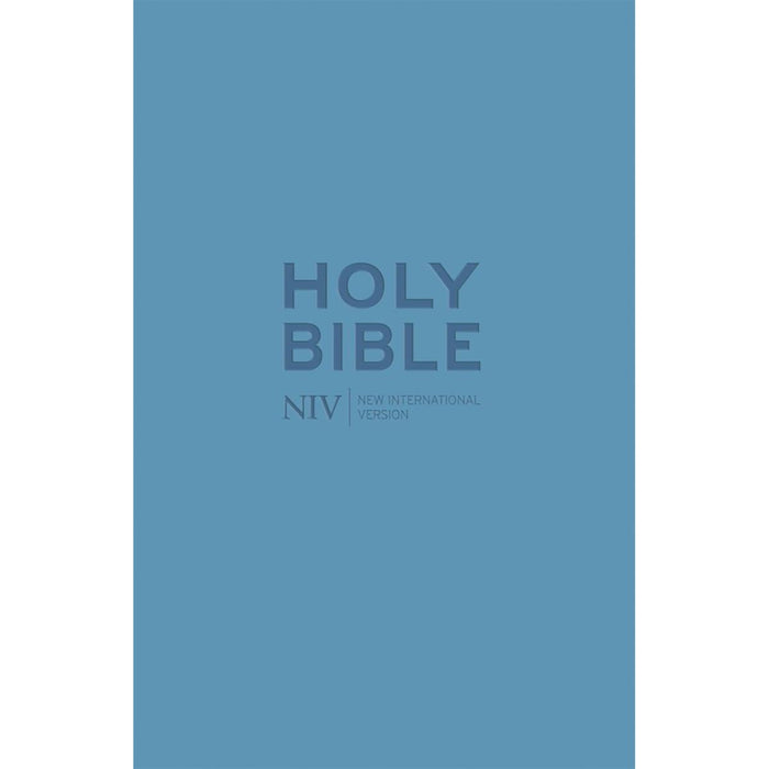 A blue Holy Bible cover with the title 'HOLY BIBLE' and 'NIV | NEW INTERNATIONAL VERSION' printed in a darker blue font.