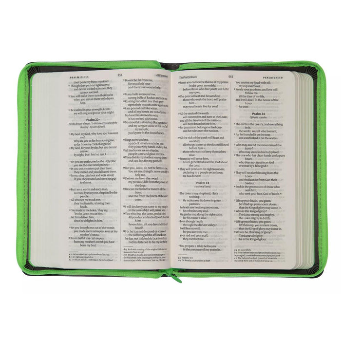NIV Popular Grey Soft-tone Zip Case Bible - British Text, by Hodder and Stoughton