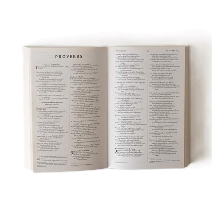 NIV Holy Bible - Economy Paperback Edition With British Text, Multi Buy Offers Available