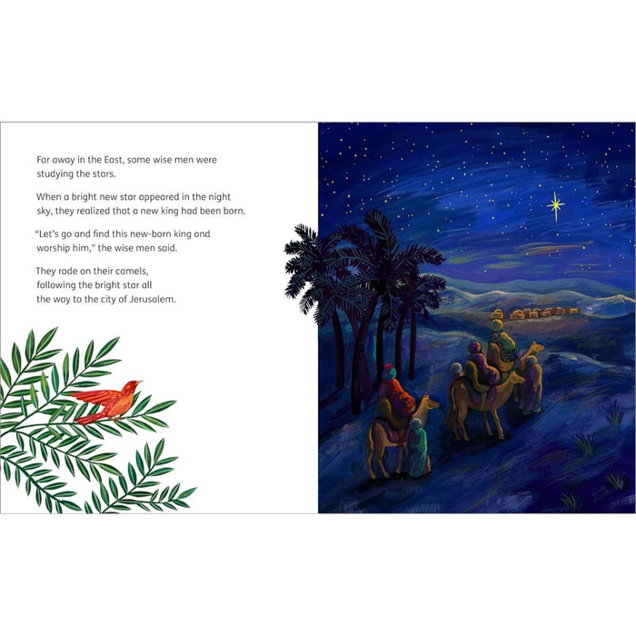 My Big Story Bible - The First Christmas, by Tom Wright