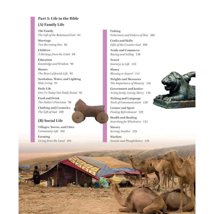 The Lion Bible Encyclopedia: Second Edition, by Mike Beaumont