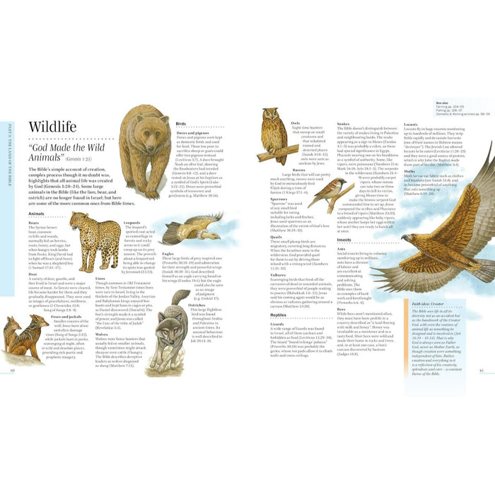 The Lion Bible Encyclopedia: Second Edition, by Mike Beaumont