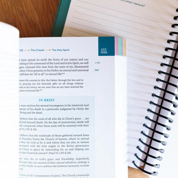 Catechism of the Catholic Church - Ascension Edition - Paperback by Ascension Press