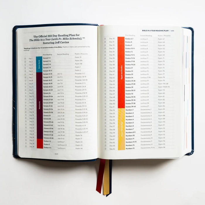 The Great Adventure Catholic Bible - RSV Second Edition - Imitation Leather