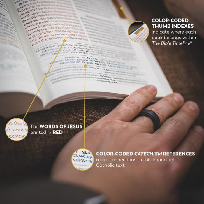 The Great Adventure Catholic Bible - RSV Second Edition - Paperback Edition