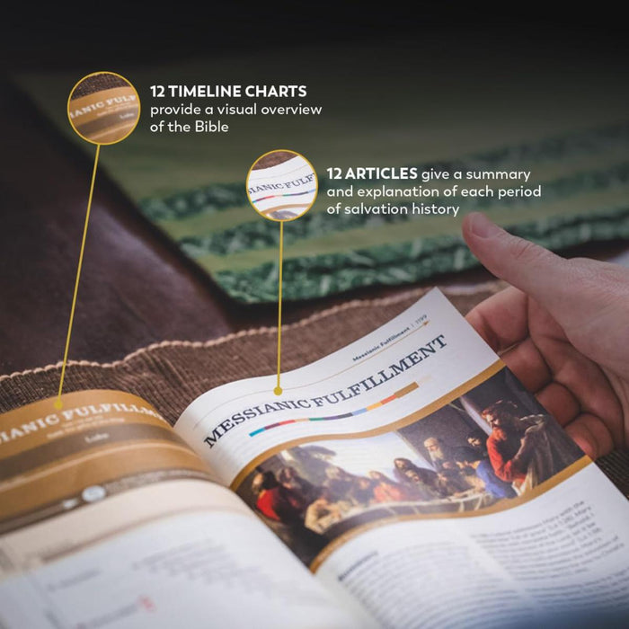 The Great Adventure Catholic Bible - RSV Second Edition - Paperback Edition