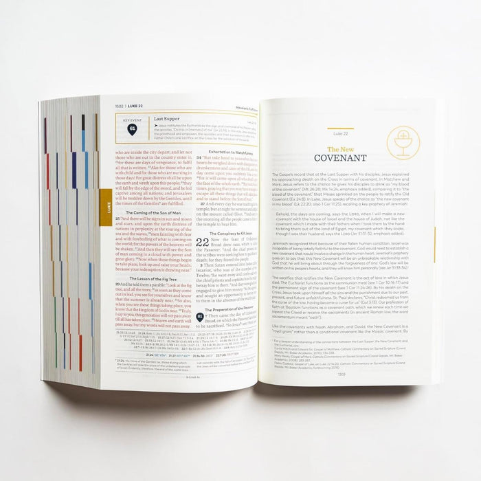 The Great Adventure Catholic Bible - RSV Second Edition - Paperback Edition