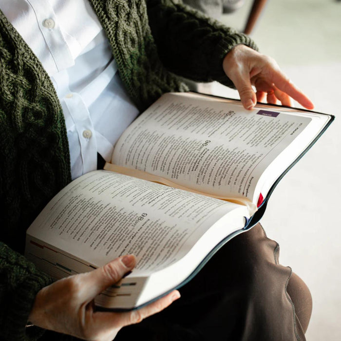 The Great Adventure Catholic Bible, Large Print - RSV Second Edition - Imitation Leather