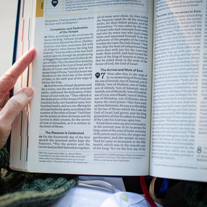 The Great Adventure Catholic Bible, Large Print - RSV Second Edition - Imitation Leather