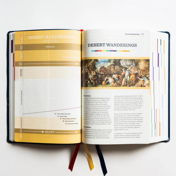 The Great Adventure Catholic Bible, Large Print - RSV Second Edition - Imitation Leather