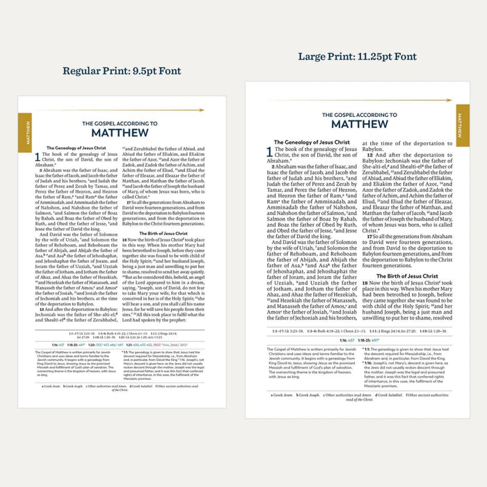 The Great Adventure Catholic Bible, Large Print - RSV Second Edition - Imitation Leather