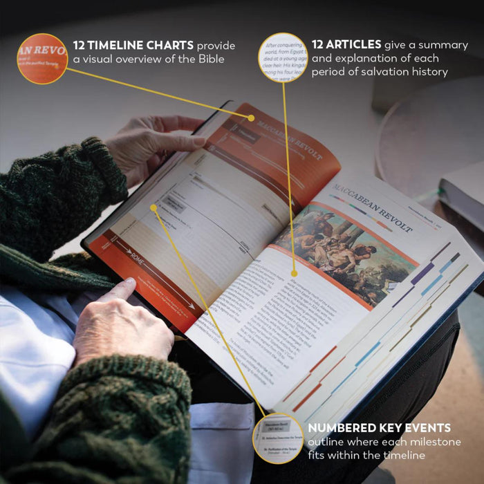 The Great Adventure Catholic Bible, Large Print - RSV Second Edition - Imitation Leather