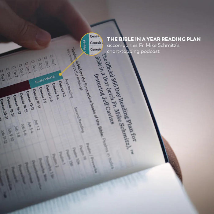 The Great Adventure Catholic Bible, Large Print - RSV Second Edition - Imitation Leather