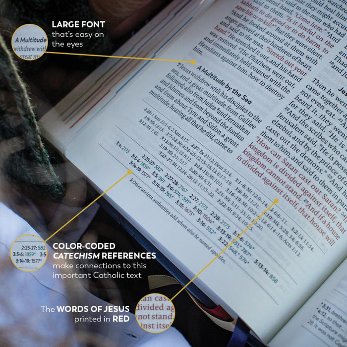 The Great Adventure Catholic Bible, Large Print - RSV Second Edition - Imitation Leather