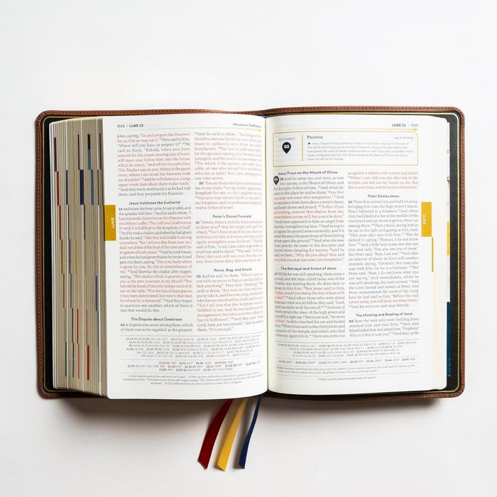 The Great Adventure Catholic Bible - RSV Second Edition - Premium Leather Bound Edition