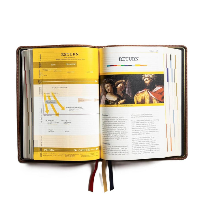 The Great Adventure Catholic Bible - RSV Second Edition - Premium Leather Bound Edition