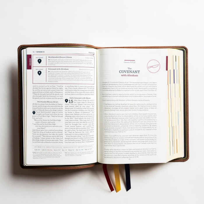 The Great Adventure Catholic Bible - RSV Second Edition - Premium Leather Bound Edition