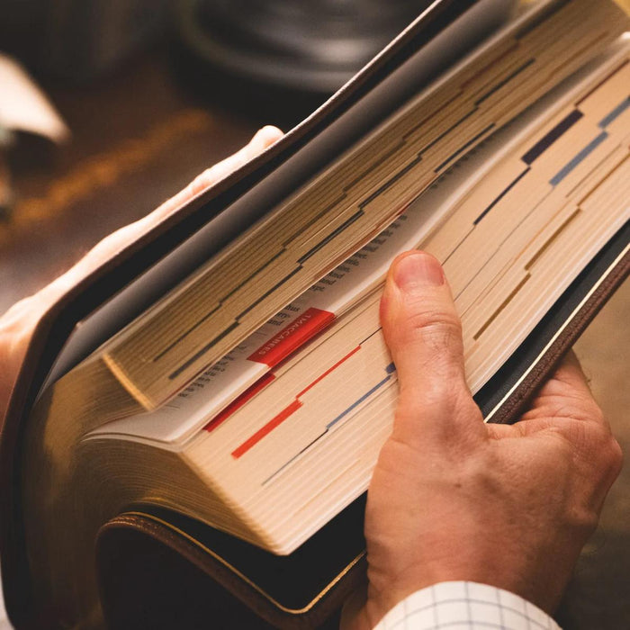 Hand holding an open book with a blurred background