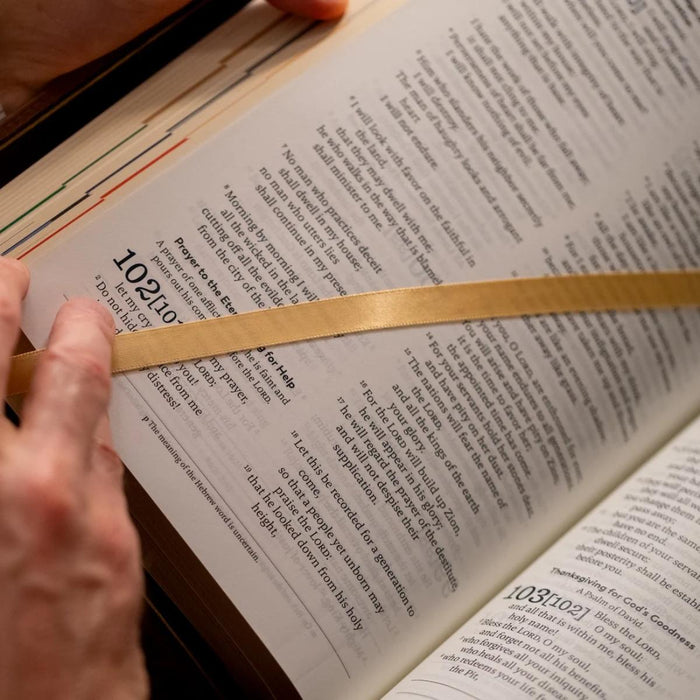 The Great Adventure Catholic Bible - RSV Second Edition - Premium Leather Bound Edition