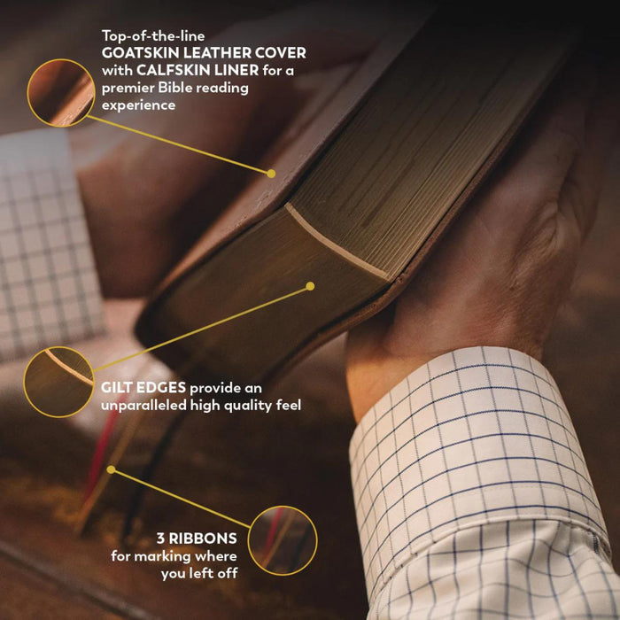 The Great Adventure Catholic Bible - RSV Second Edition - Premium Leather Bound Edition