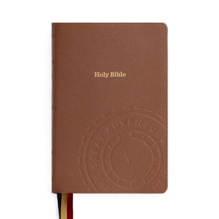 Brown leather Bible with embossed design and 'Holy Bible' text on a white background