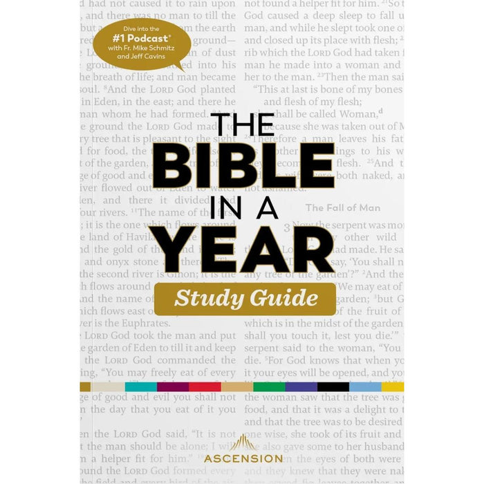 The Bible in a Year Study Guide, by Fr. Mike Schmitz