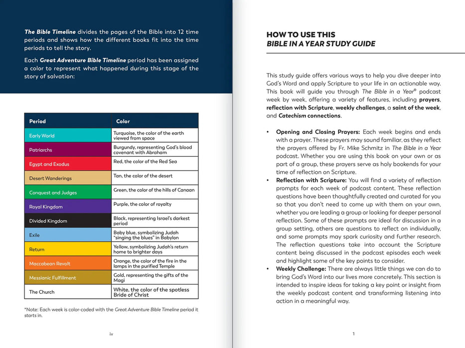 The Bible in a Year Study Guide, by Fr. Mike Schmitz