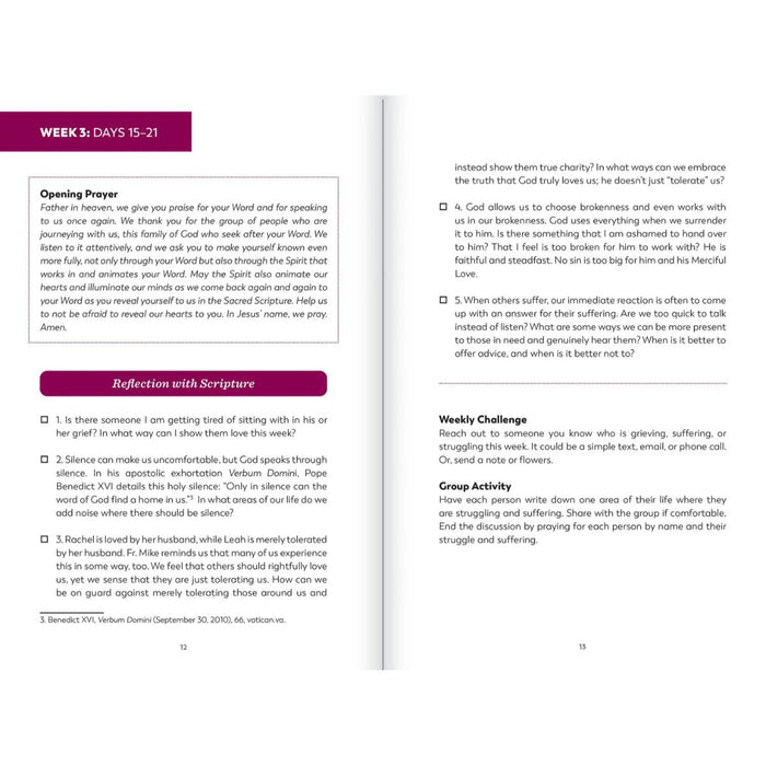 The Bible in a Year Study Guide, by Fr. Mike Schmitz