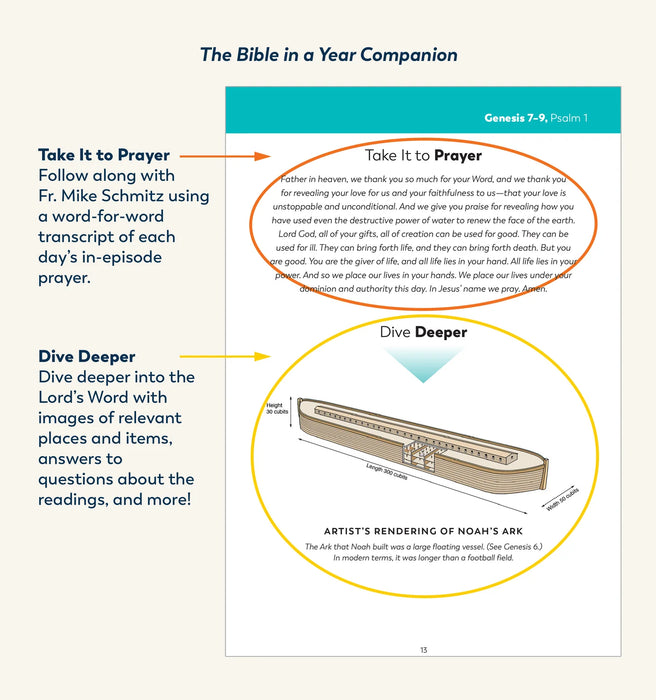 The Bible in a Year Companion: 3 Volume Set, by Fr. Mike Schmitz