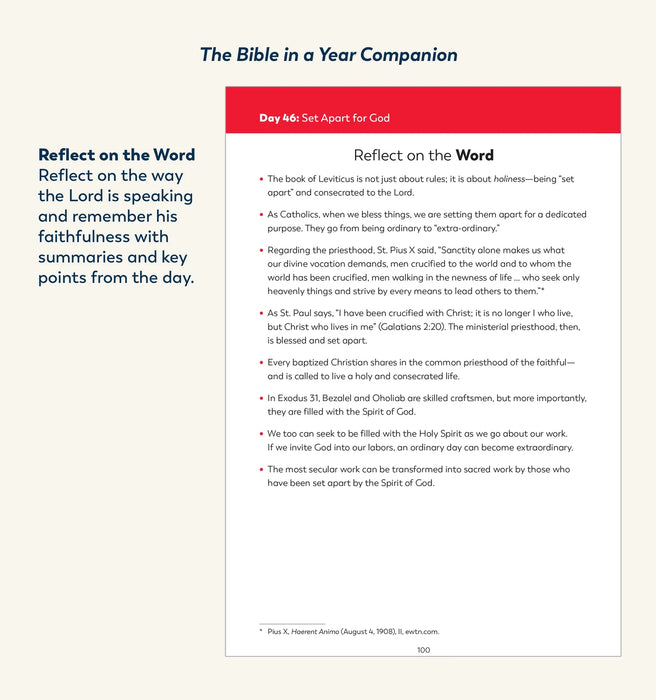 The Bible in a Year Companion: 3 Volume Set, by Fr. Mike Schmitz