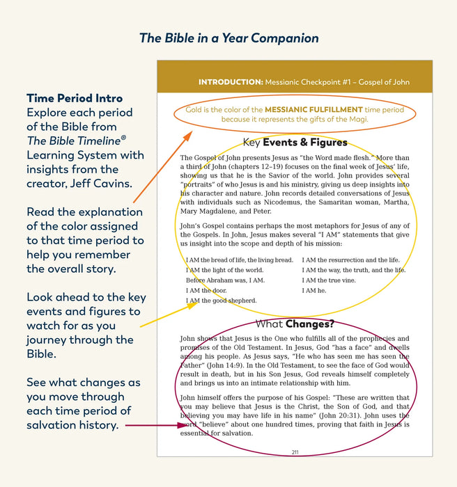 The Bible in a Year Companion: 3 Volume Set, by Fr. Mike Schmitz