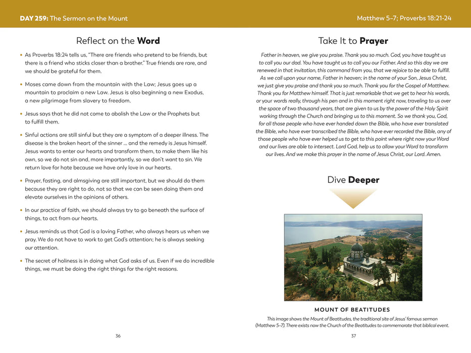 The Bible in a Year Companion: 3 Volume Set, by Fr. Mike Schmitz