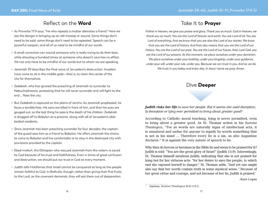 The Bible in a Year Companion: 3 Volume Set, by Fr. Mike Schmitz