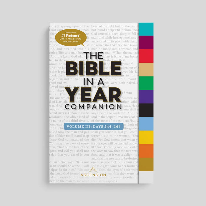 The Bible in a Year Companion: 3 Volume Set, by Fr. Mike Schmitz