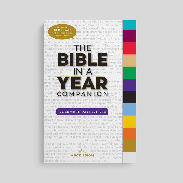 The Bible in a Year Companion: 3 Volume Set, by Fr. Mike Schmitz