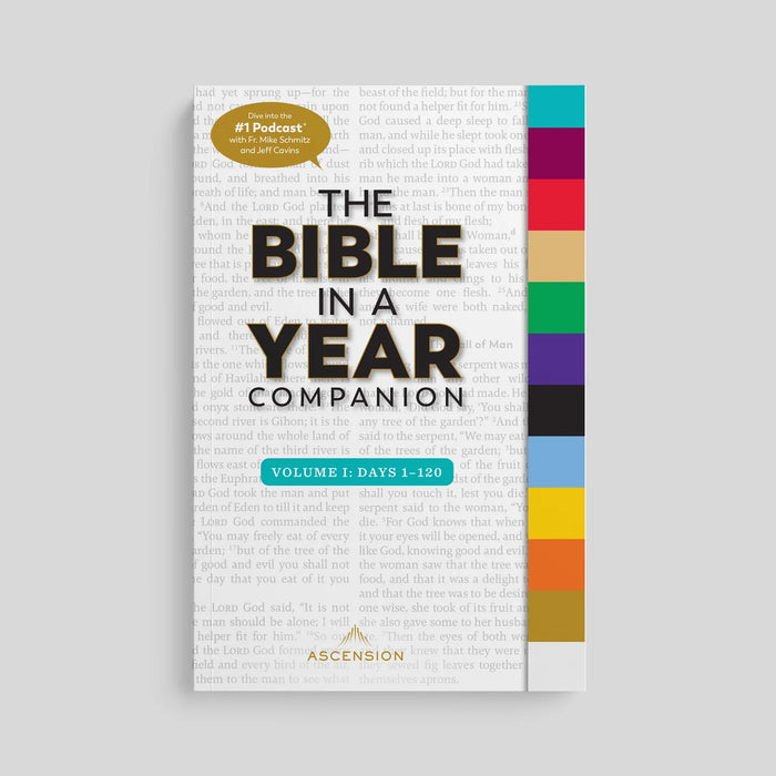 The Bible in a Year Companion: 3 Volume Set, by Fr. Mike Schmitz