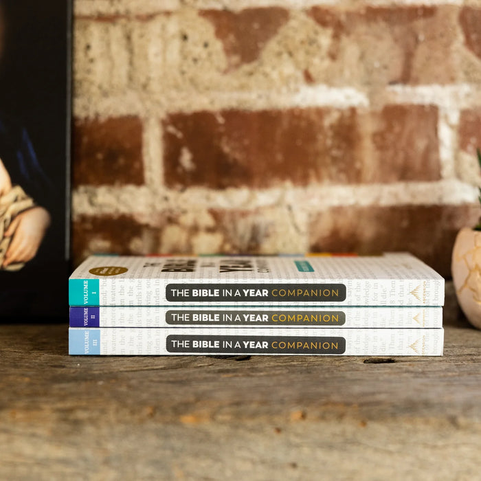 The Bible in a Year Companion: 3 Volume Set, by Fr. Mike Schmitz
