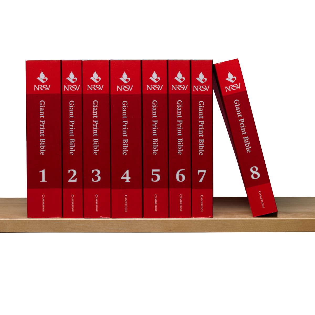 NRSV Giant Print Bible, Complete Set of all 8 Volumes, Paperback ...
